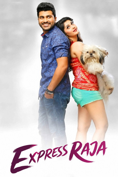 ఎక్స్‌ప్రెస్ రాజా (2016) poster