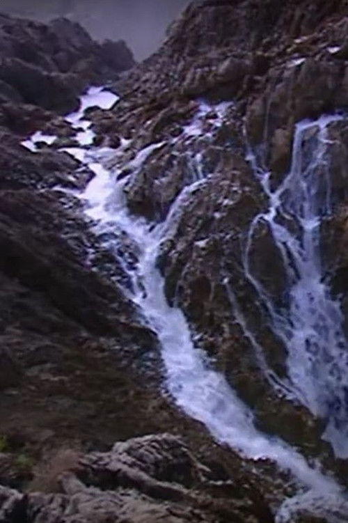 Medrana (2004) poster