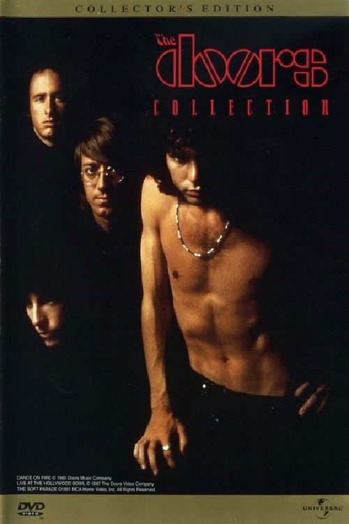The Doors: Collection (1999) poster