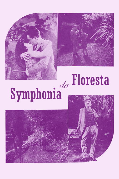 Sinfonia da Floresta (1929) poster