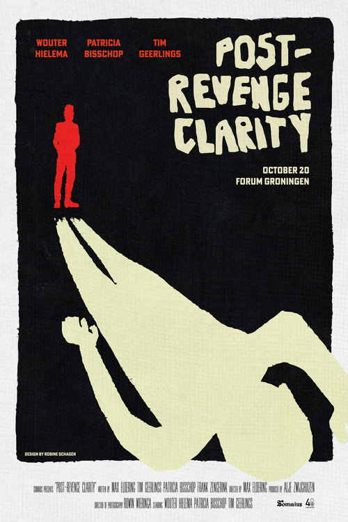Post-Revenge Clarity (2024) poster