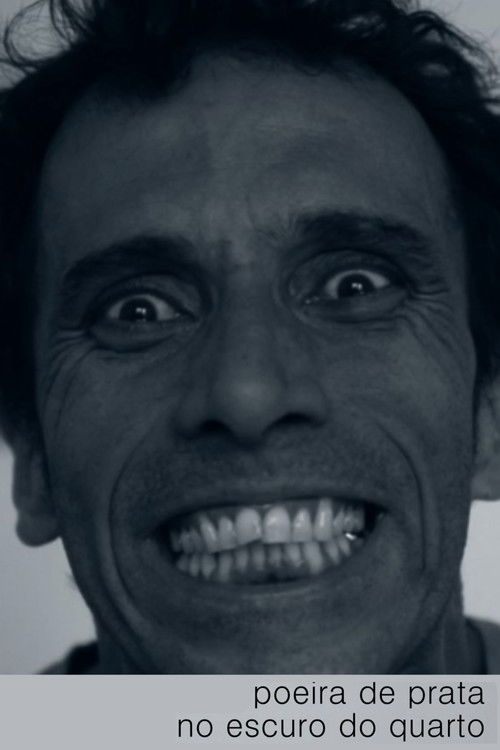 Poeira de Prata no Escuro do Quarto (2014) poster