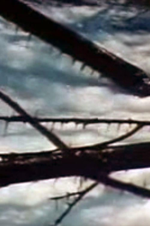 Seasons Project (2005) poster