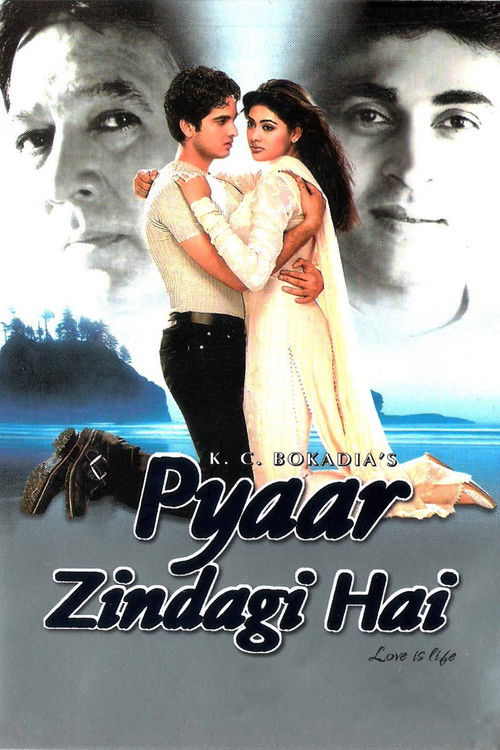 Pyaar Zindagi Hai (2001) poster