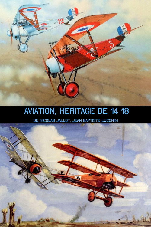 Aviation, héritage de 14-18 (2017) poster