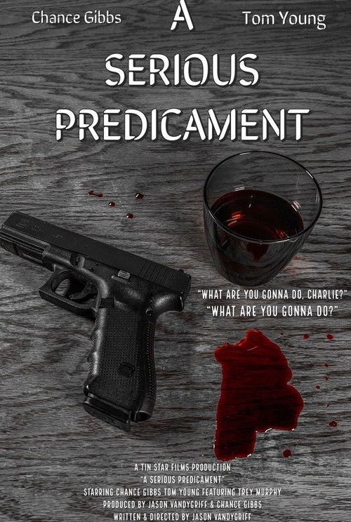 A Serious Predicament (2020) poster