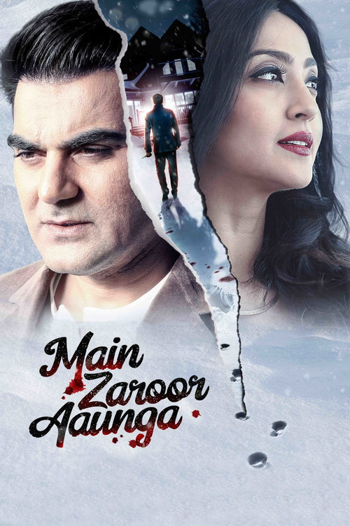 मैं ज़रूर आऊंगा (2019) poster