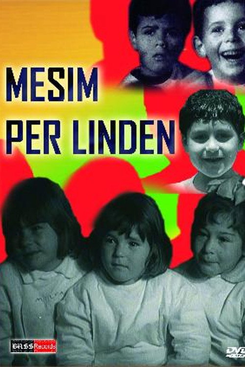 Lesson for Linda (1970) poster