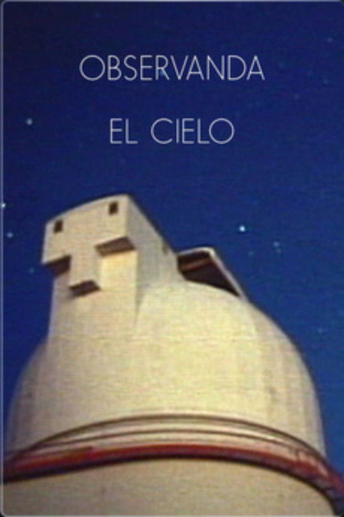 Observando el cielo (2007) poster