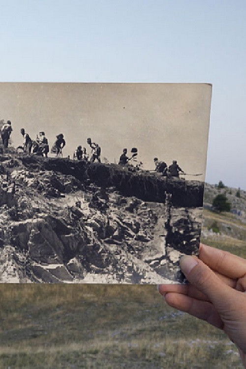 Newsreel 242 - Sunny Railways (2023) poster