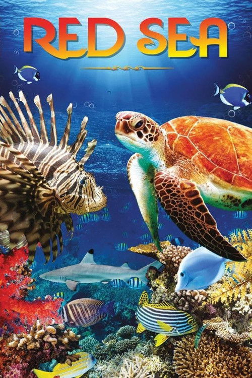 Red Sea (2016) poster
