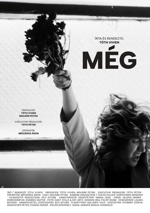 Még (2025) poster