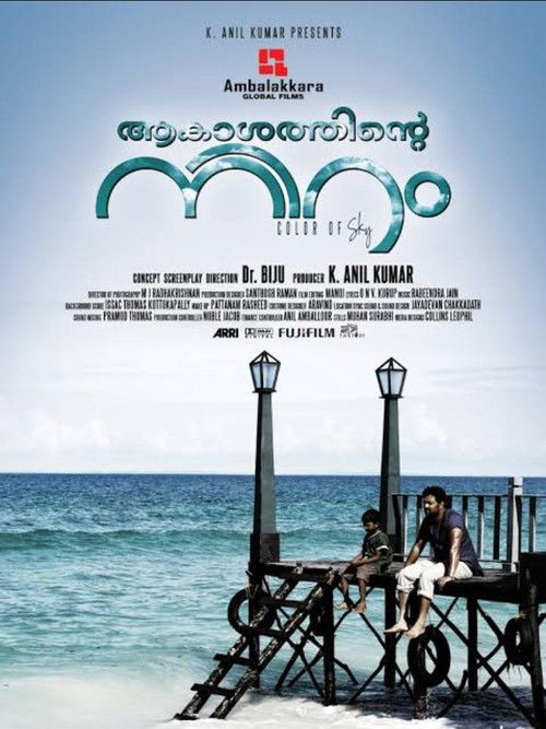 ആകാശത്തിന്‍റെ നിറം (2012) poster