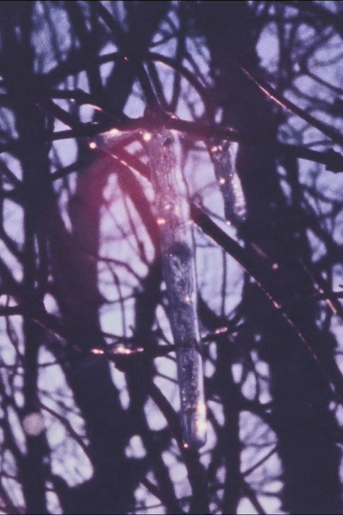 Winter Fence (1984) poster