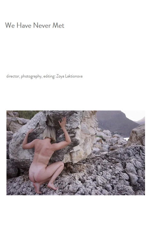 We Have Never Met (2023) poster