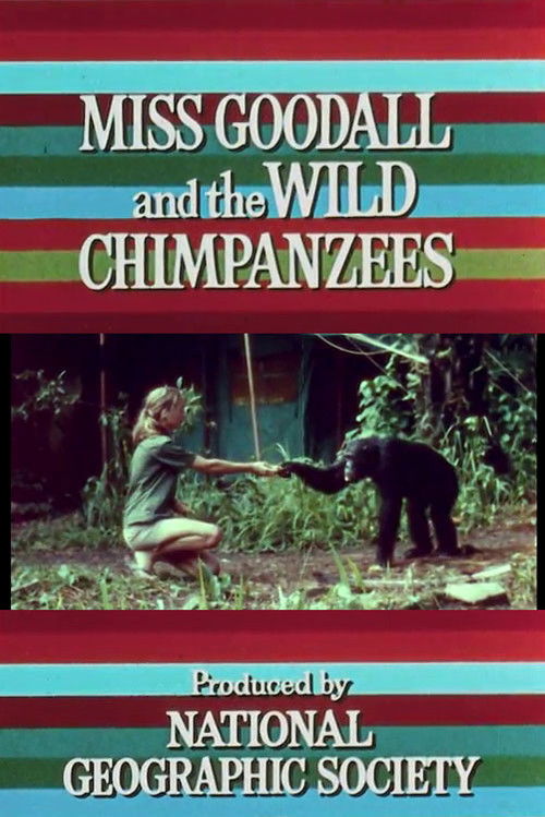 Miss Goodall and the Wild Chimpanzees (1965) poster