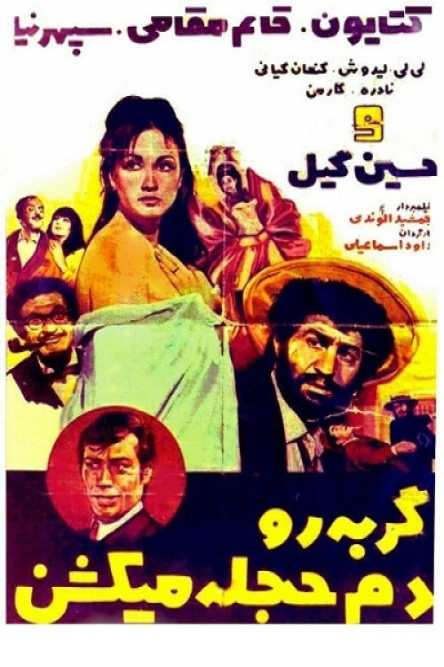 گربه را دم حجله می کشند (1969) poster