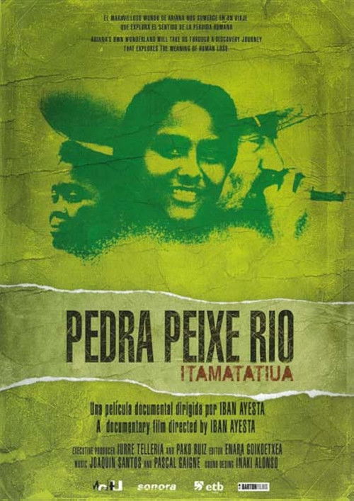 Stone, fish, river: Itamatatiua (2010) poster