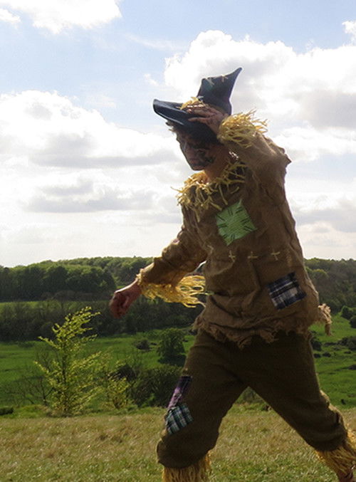 Rover of Meadow's Advent (2019) poster