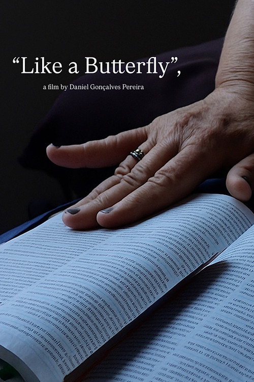 Igual a uma Borboleta (2025) poster