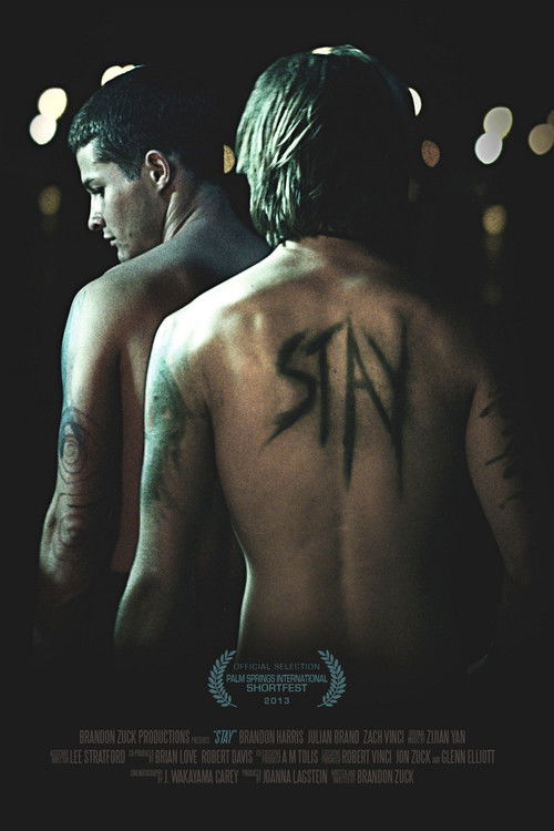 Stay (2013) poster