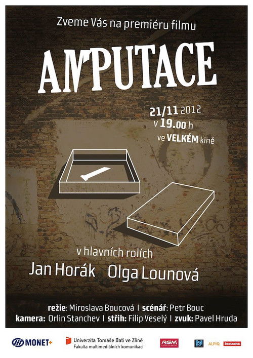 Amputace (2012) poster
