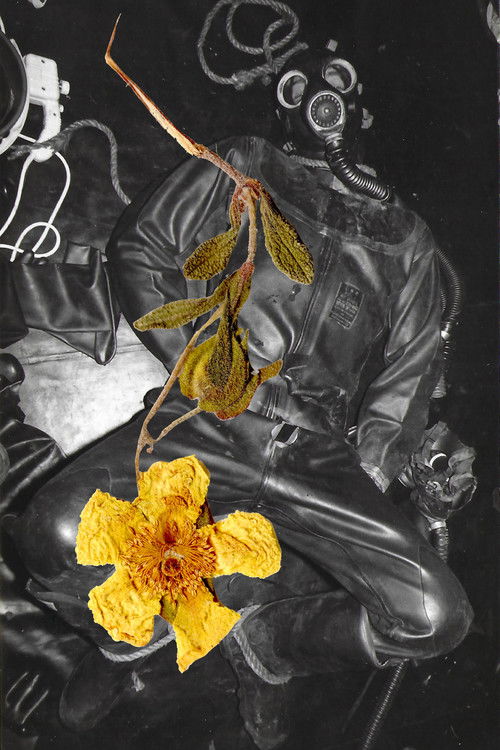 Les Fantômes du hard (2024) poster