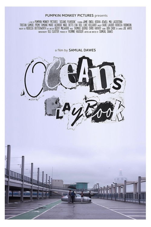 Ocean’s Playbook (2025) poster
