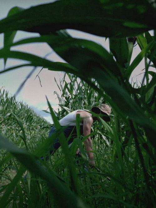 S.a.p.i.n.g.r.i.s. (2024) poster