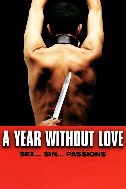 Un año sin amor (2005) poster