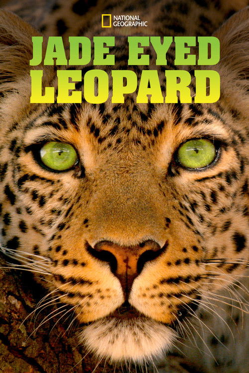 Jade Eyed Leopard (2020) poster