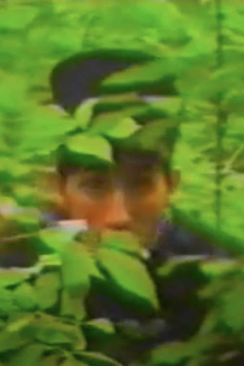 Spring Hoax (1993) poster