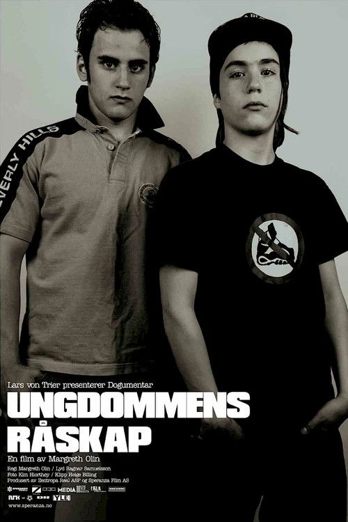 Raw Youth (2004) poster