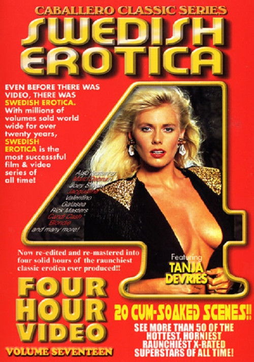 Swedish Erotica 17 (2003) poster