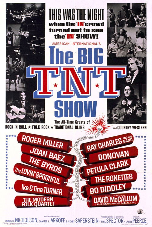 The Big T.N.T. Show (1965) poster