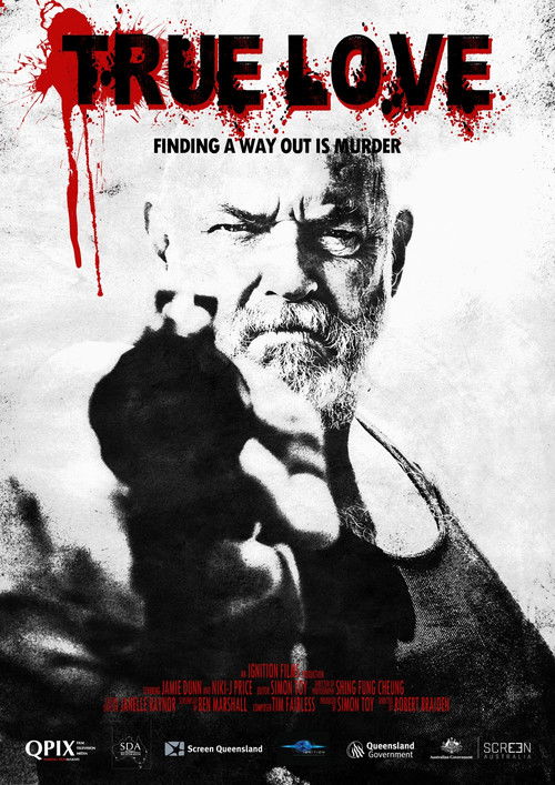 True Love (2010) poster