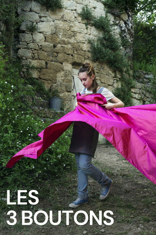Les 3 Boutons (2015) poster