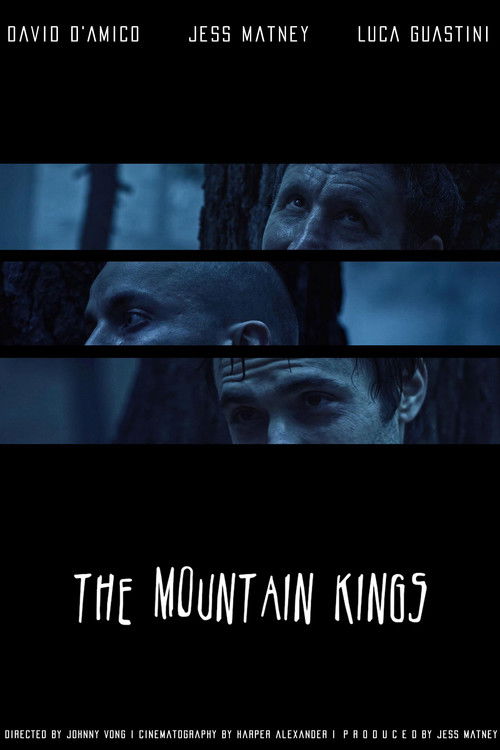 The Mountain Kings (2016) poster