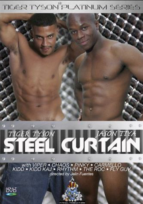 Steel Curtain (2007) poster