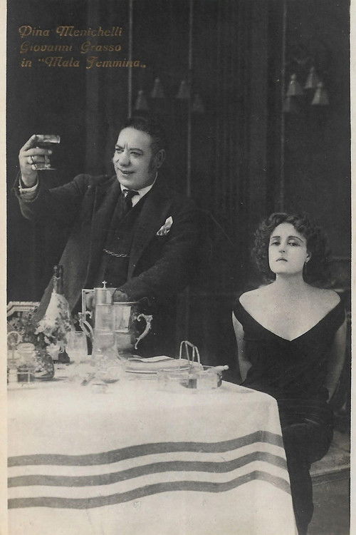 L' ospite sconosciuta (1923) poster