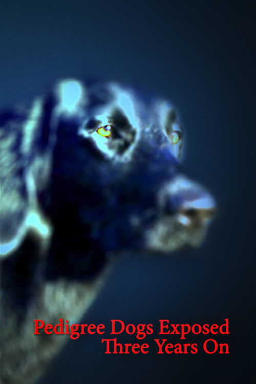 Pedigree Dogs Exposed: Three Years On (2012) poster