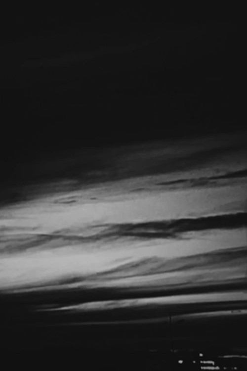 Like a bird days (2024) poster