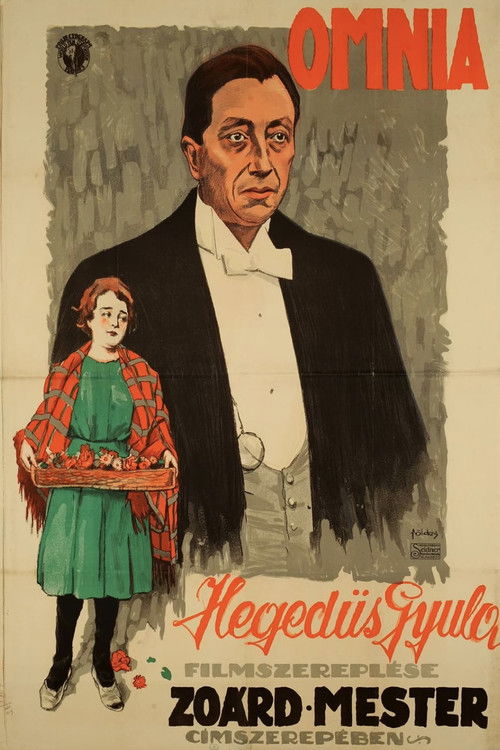 Zoárd mester (1917) poster