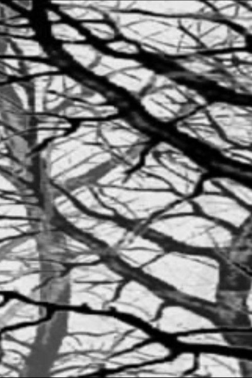 Der Wald (1993) poster