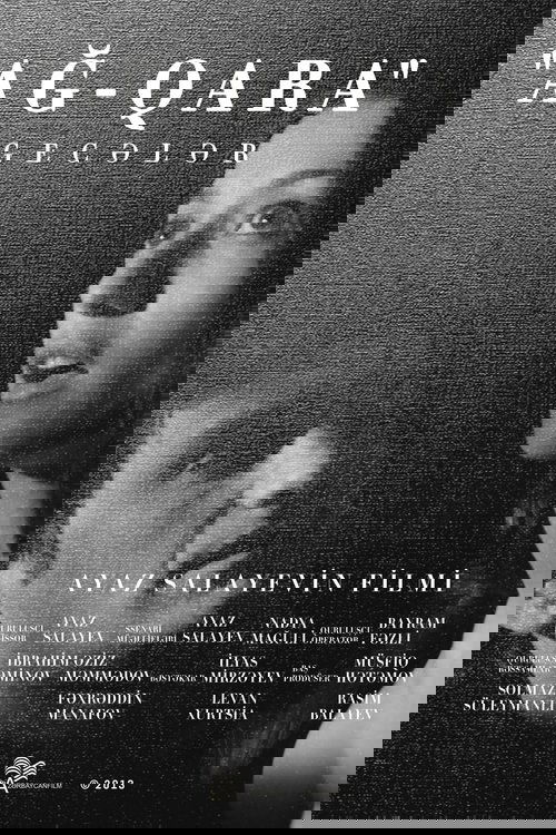 Black & White Nights (2013) poster