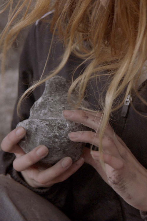 Love Canal (2017) poster