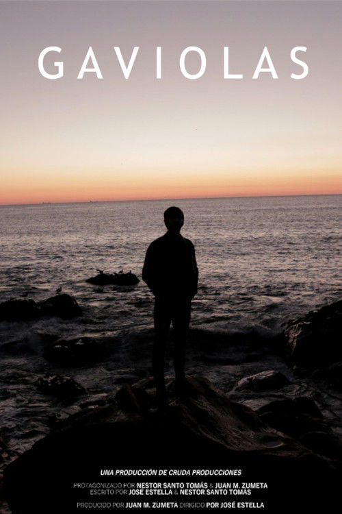 Gaviolas (2018) poster