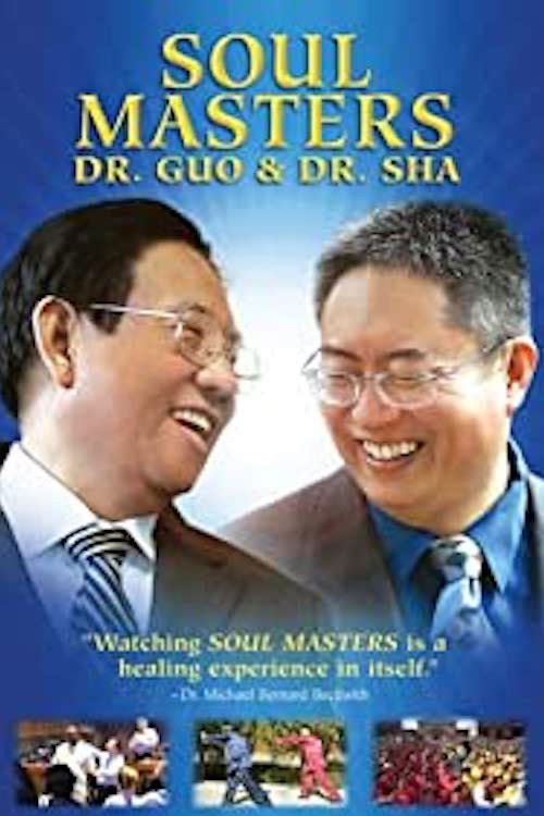 Soul Masters: Dr. Guo And Dr. Sha (2008) poster