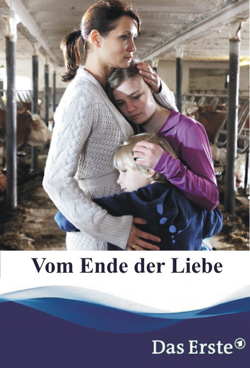 Vom Ende der Liebe (2011) poster