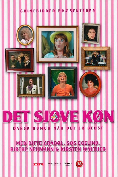 Det Sjove Køn (2008) poster